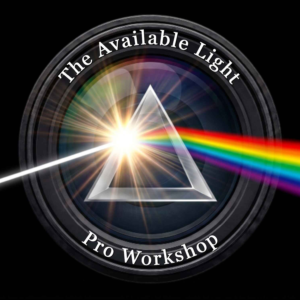The Available Light: Pro Workshop